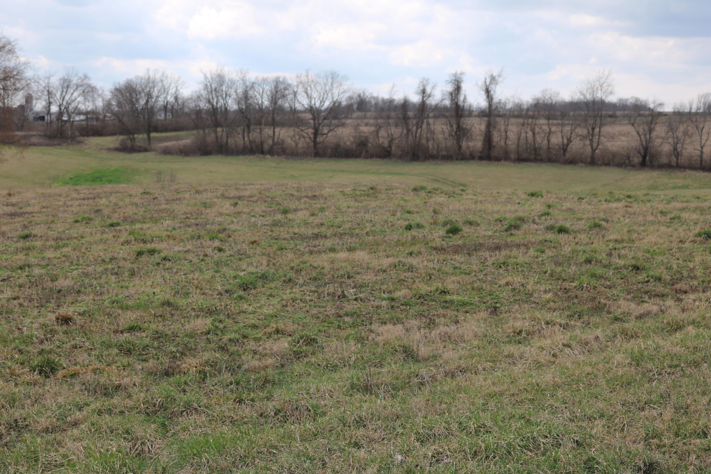 35 acres in Nicholas County, Kentucky