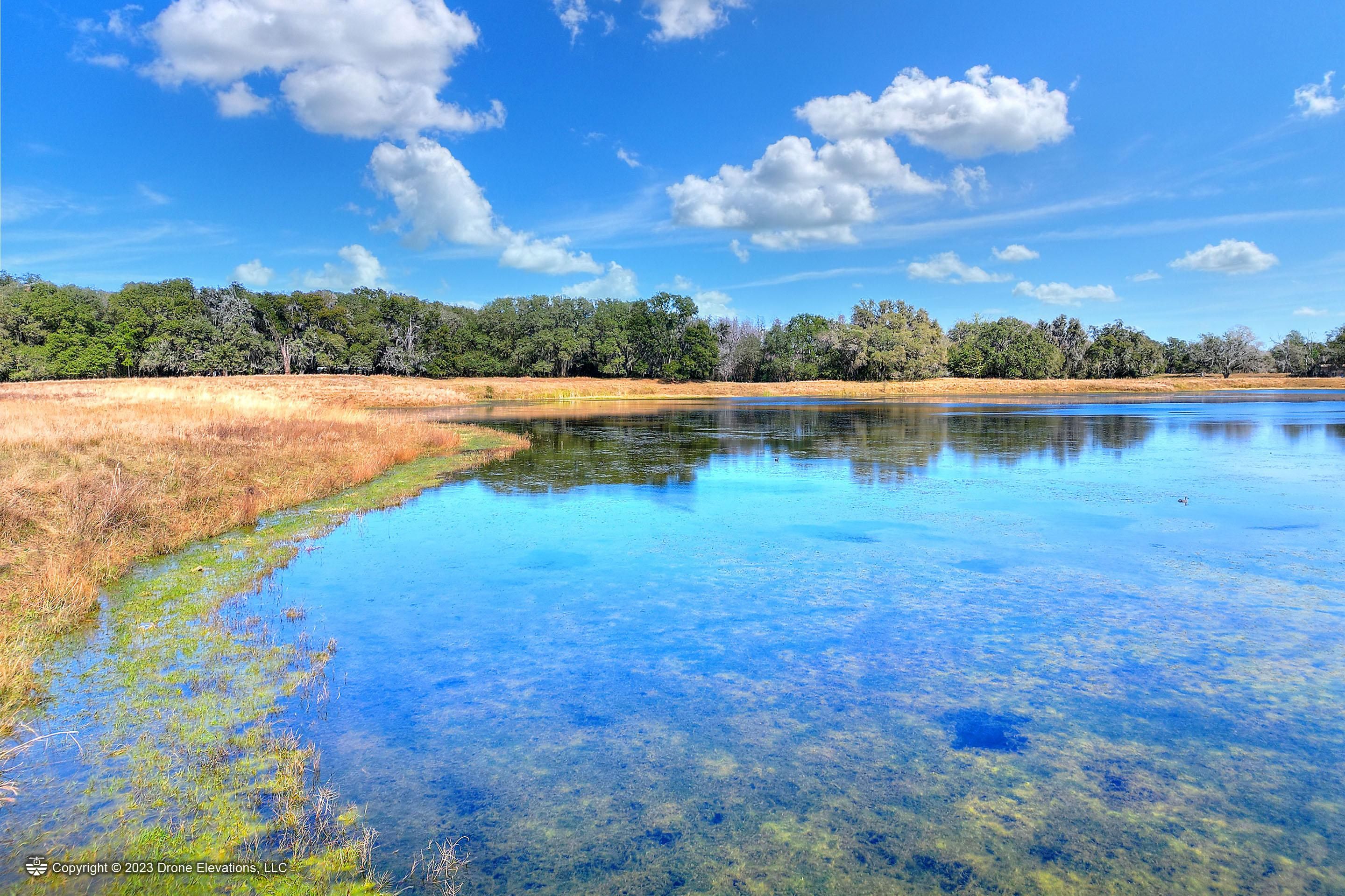 Al Goldstein Prospect Park 5k 8609 Back Road, Plant City, FL 33565