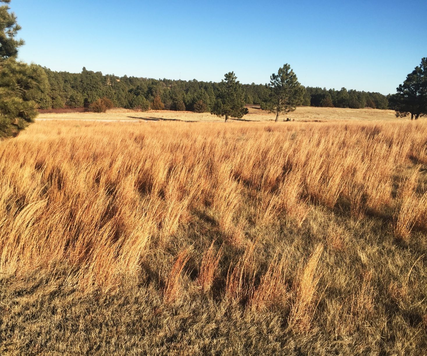 2 acres in Cherry County, Nebraska