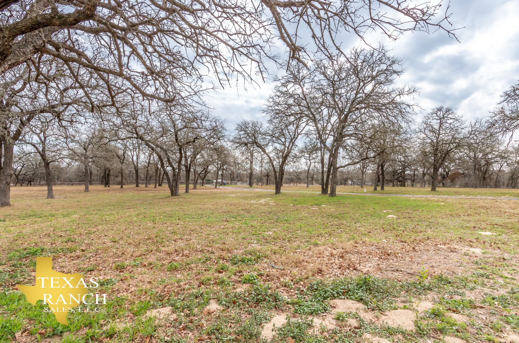 20 acres in Wilson County, Texas