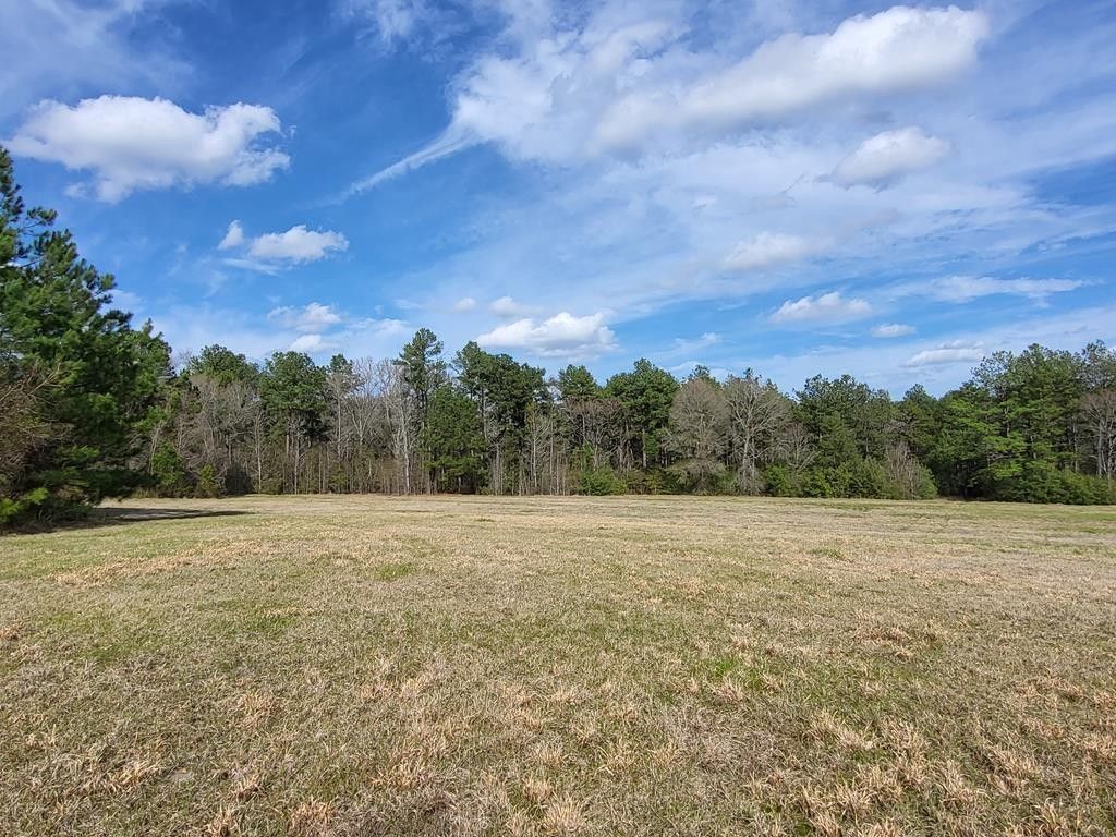 55.47 acres in Angelina County, Texas