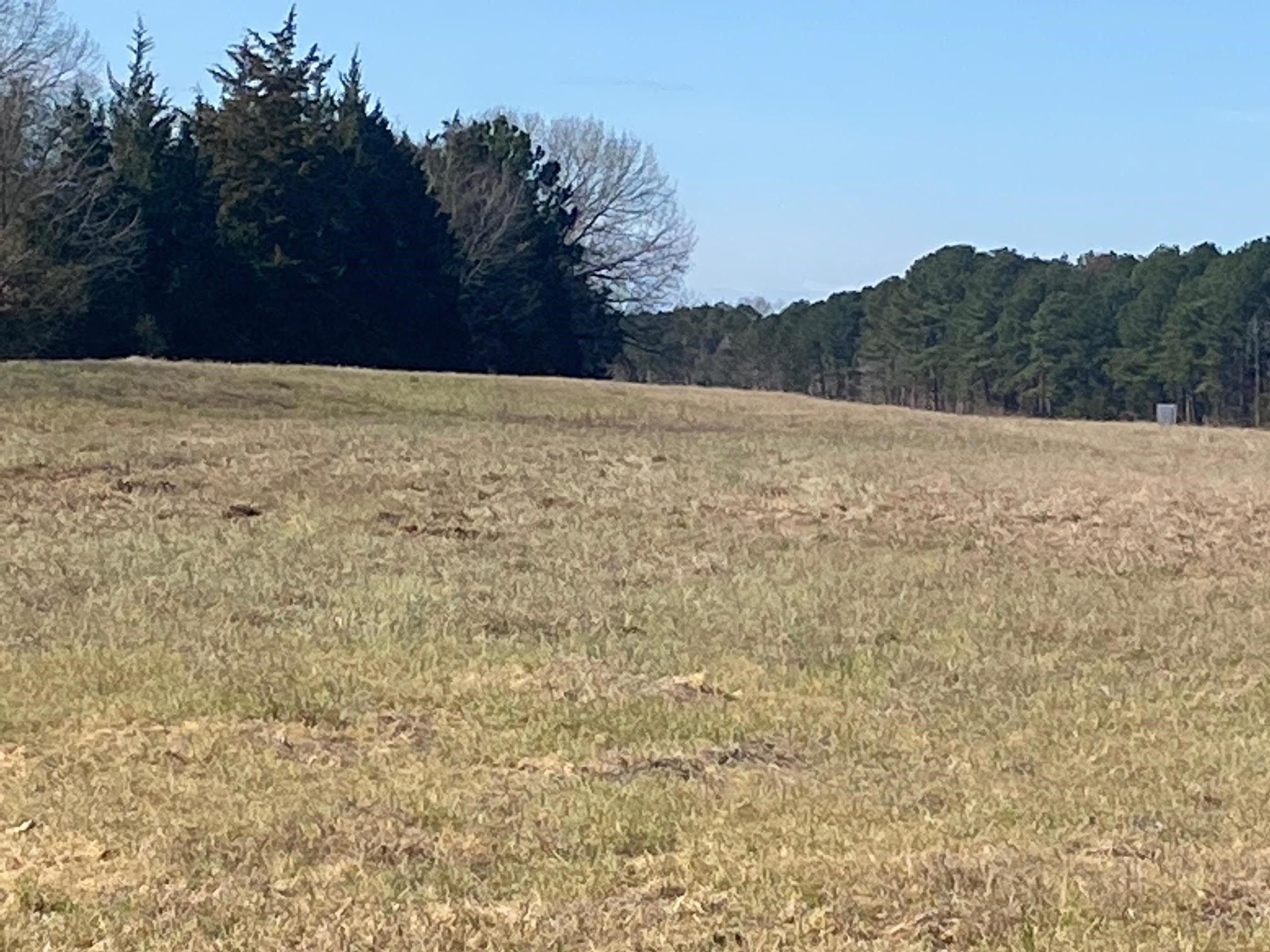 16 acres in Bowie County, Texas