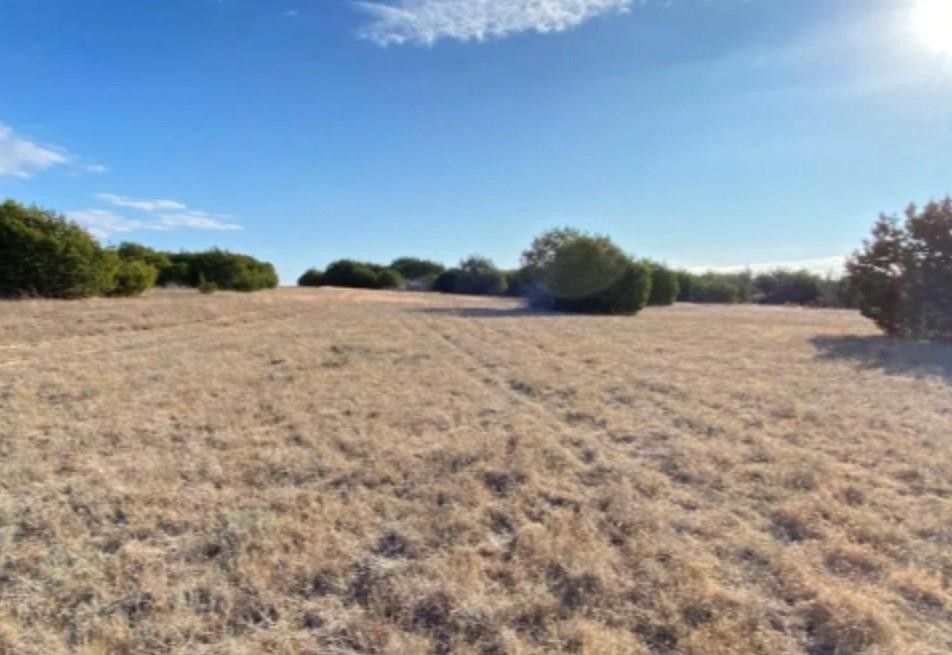 Unimproved Land Hamilton, TX