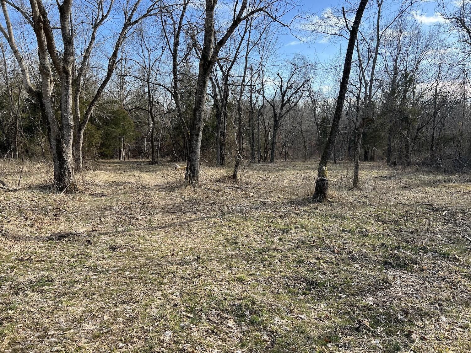 14.28 acres in Fulton County, Arkansas