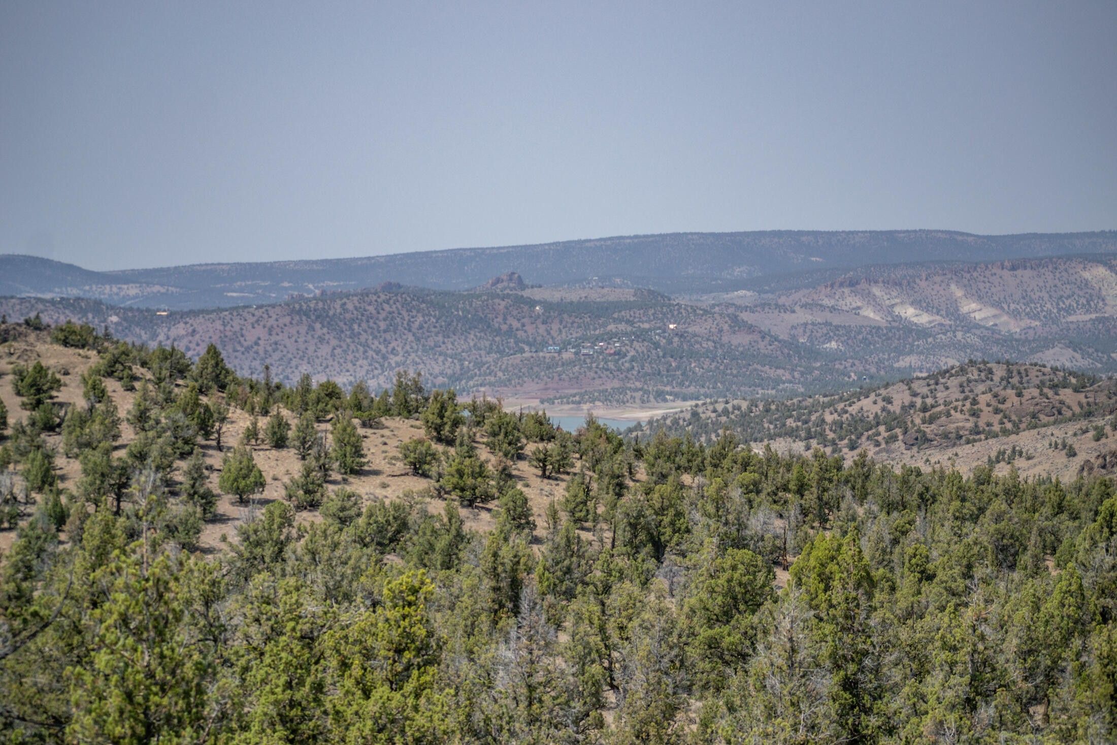 196 acres in Crook County, Oregon
