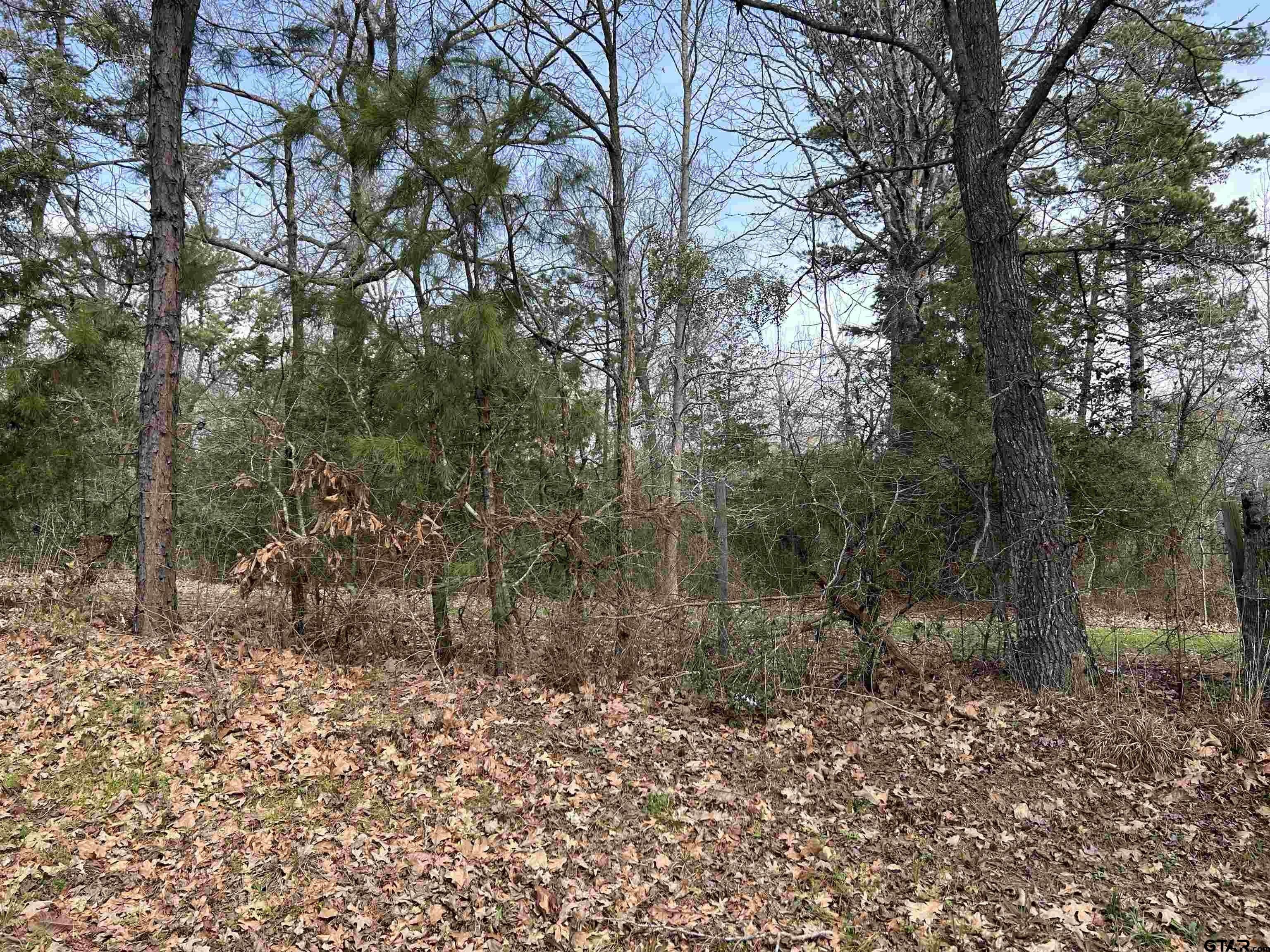 25 acres in Rusk County, Texas