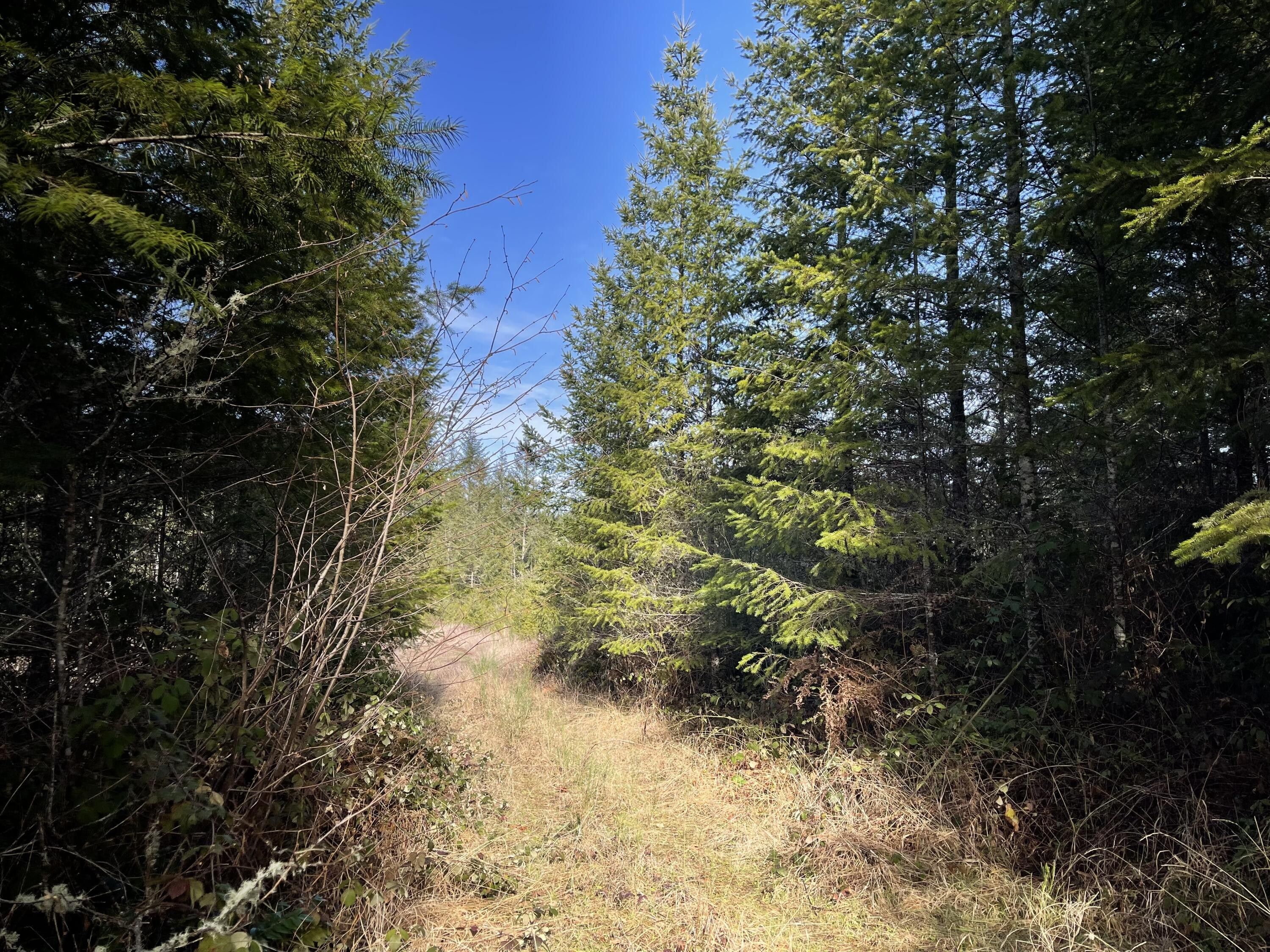 10 acres in Linn County, Oregon