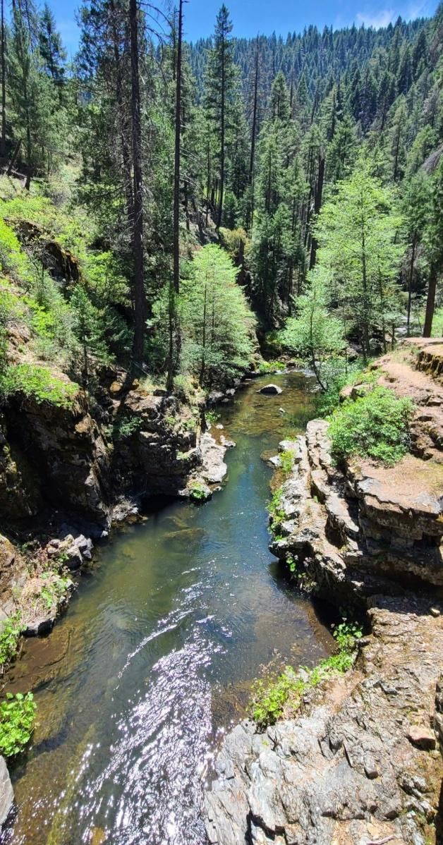 40 acres in Siskiyou County, California