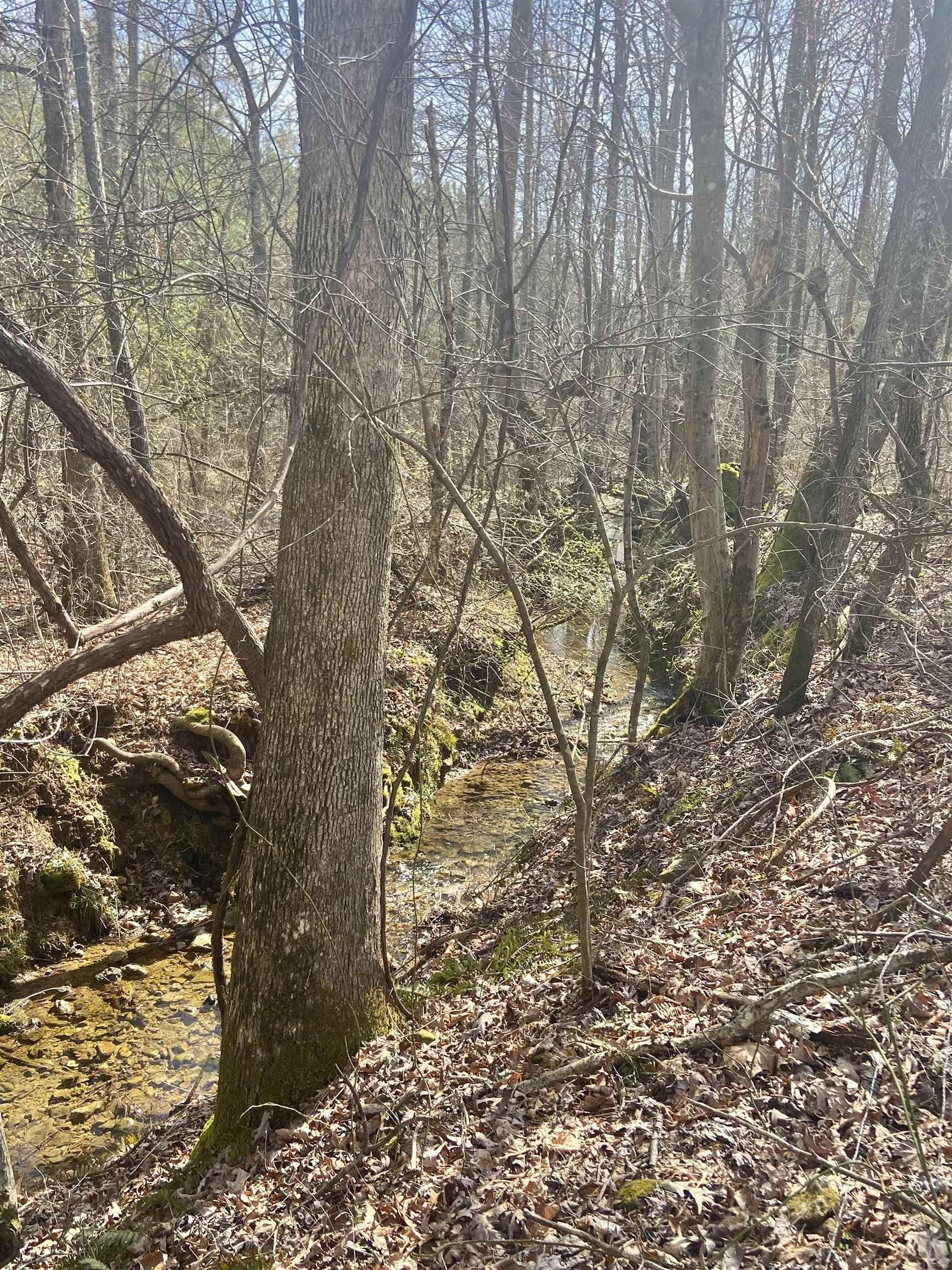 15 acres in Wayne County, Tennessee