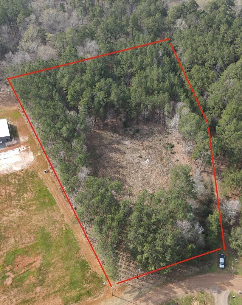 150 Buck Alley, Douglass, TX 75943 MLS 22300200