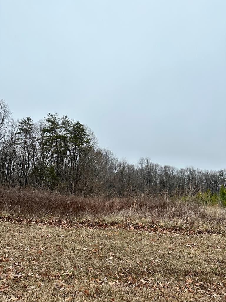 2.39 acres in Halifax County, Virginia