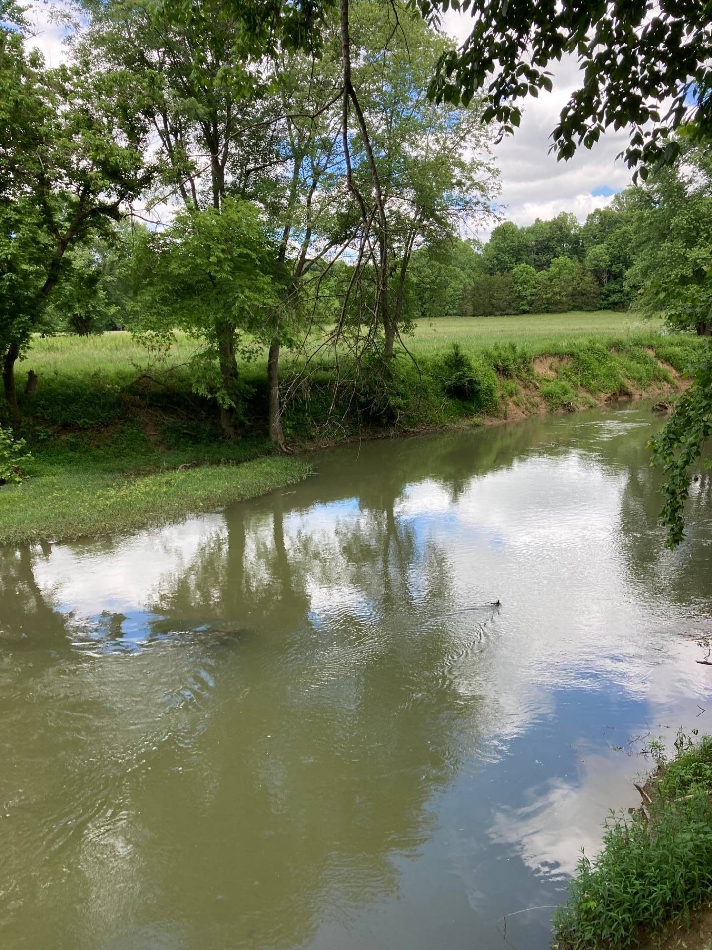 8.48 acres in Marion County, Kentucky