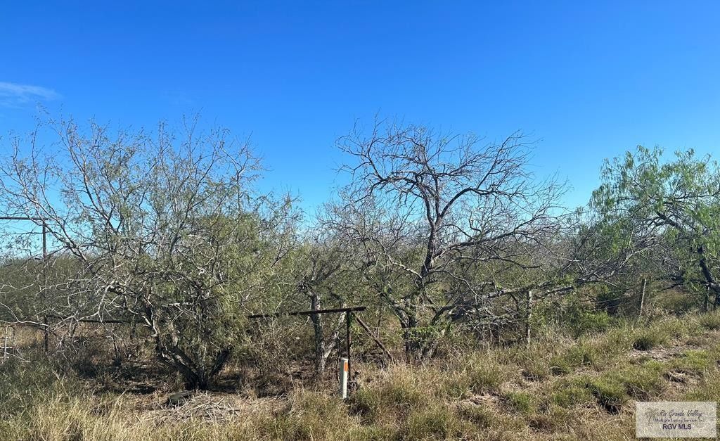 10 acres in Cameron County, Texas