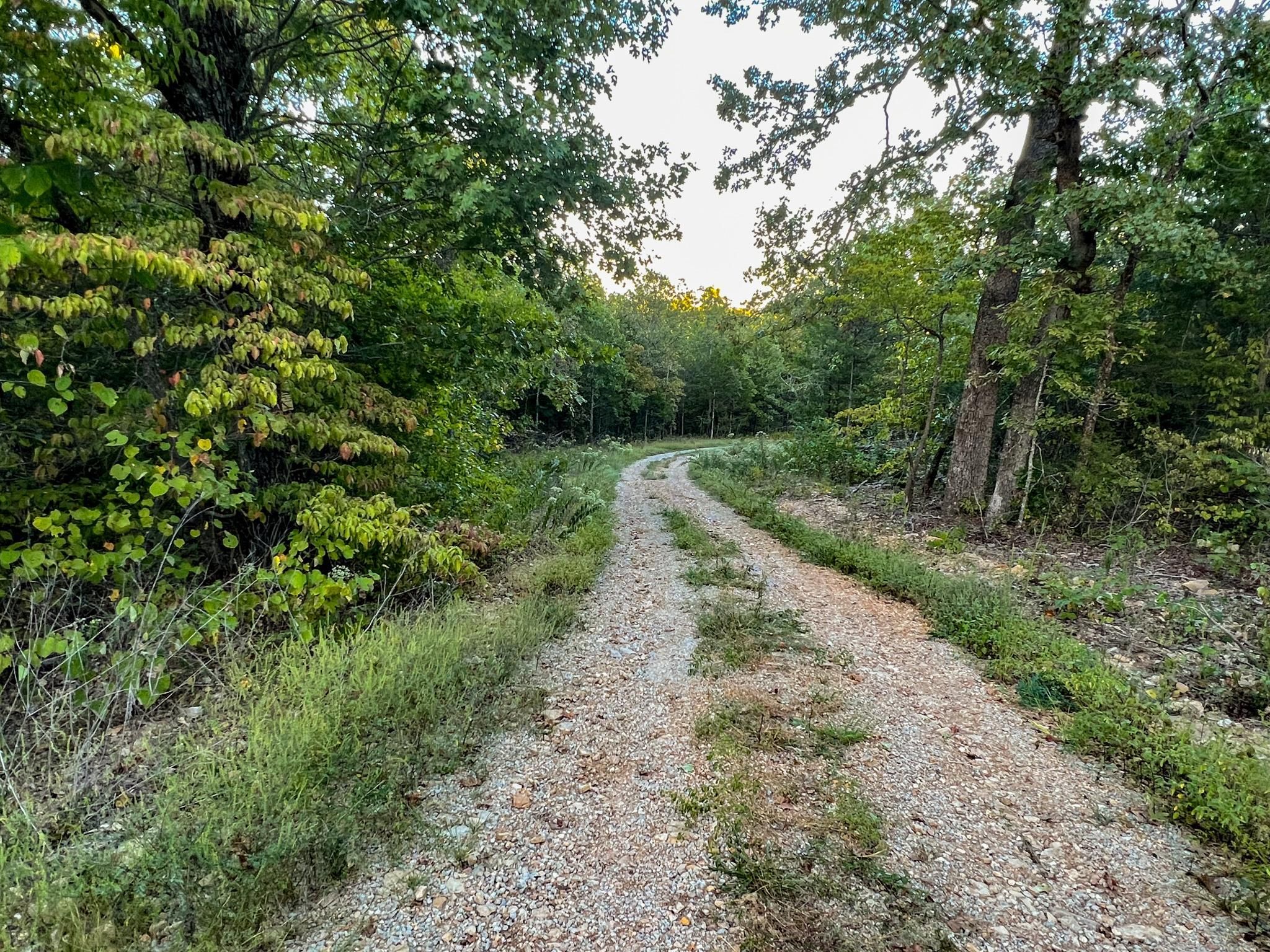 24 acres in Ozark County, Missouri