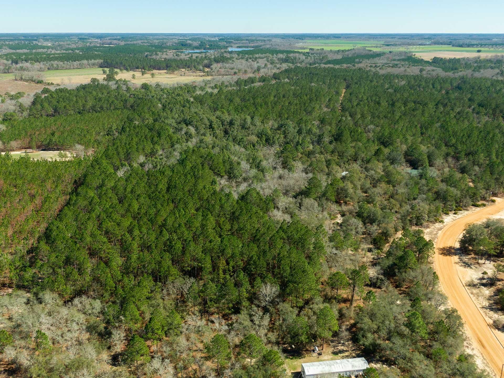 22.71 acres in Tattnall County,