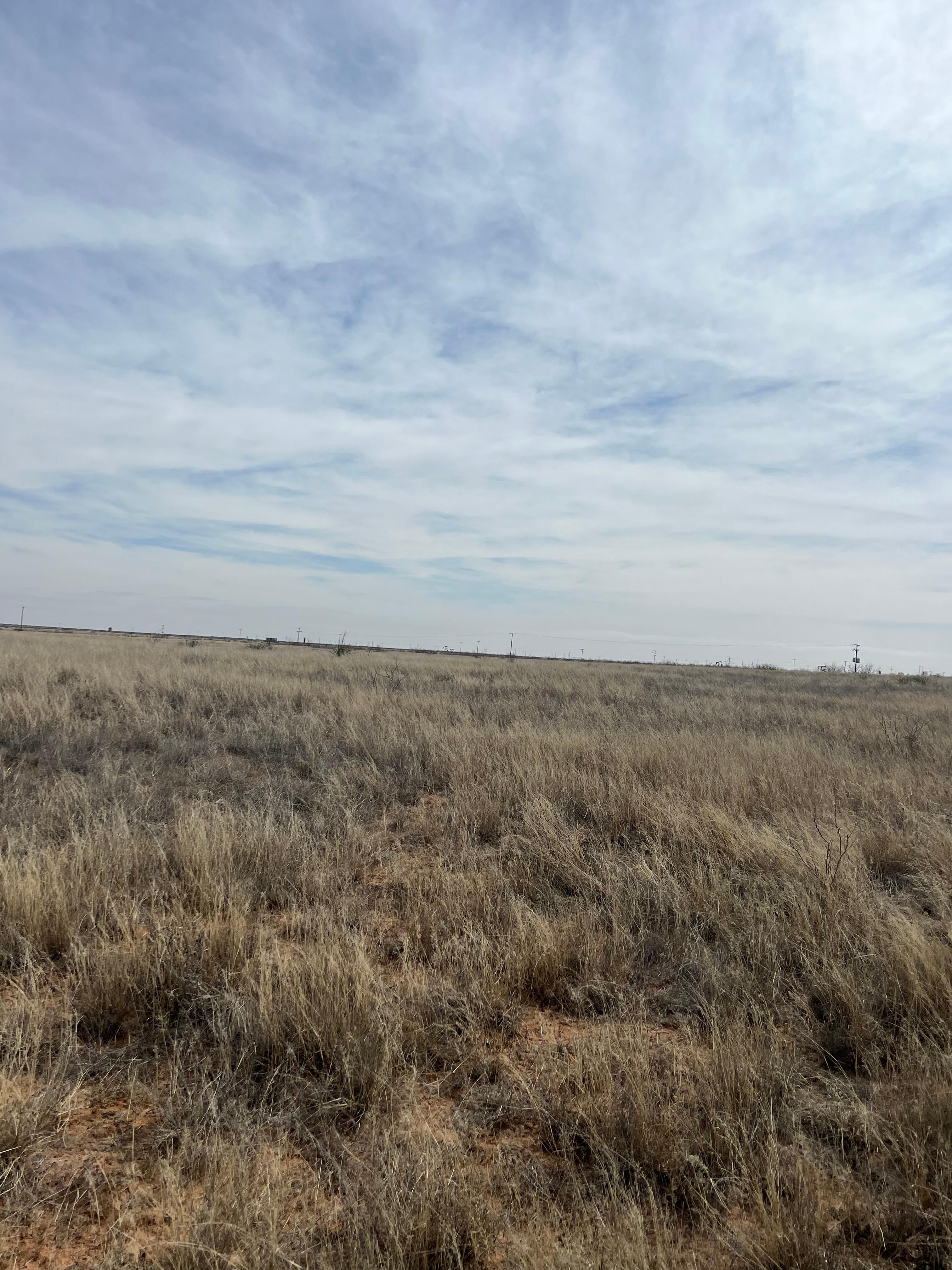 640 acres in Seminole, TX, 79360