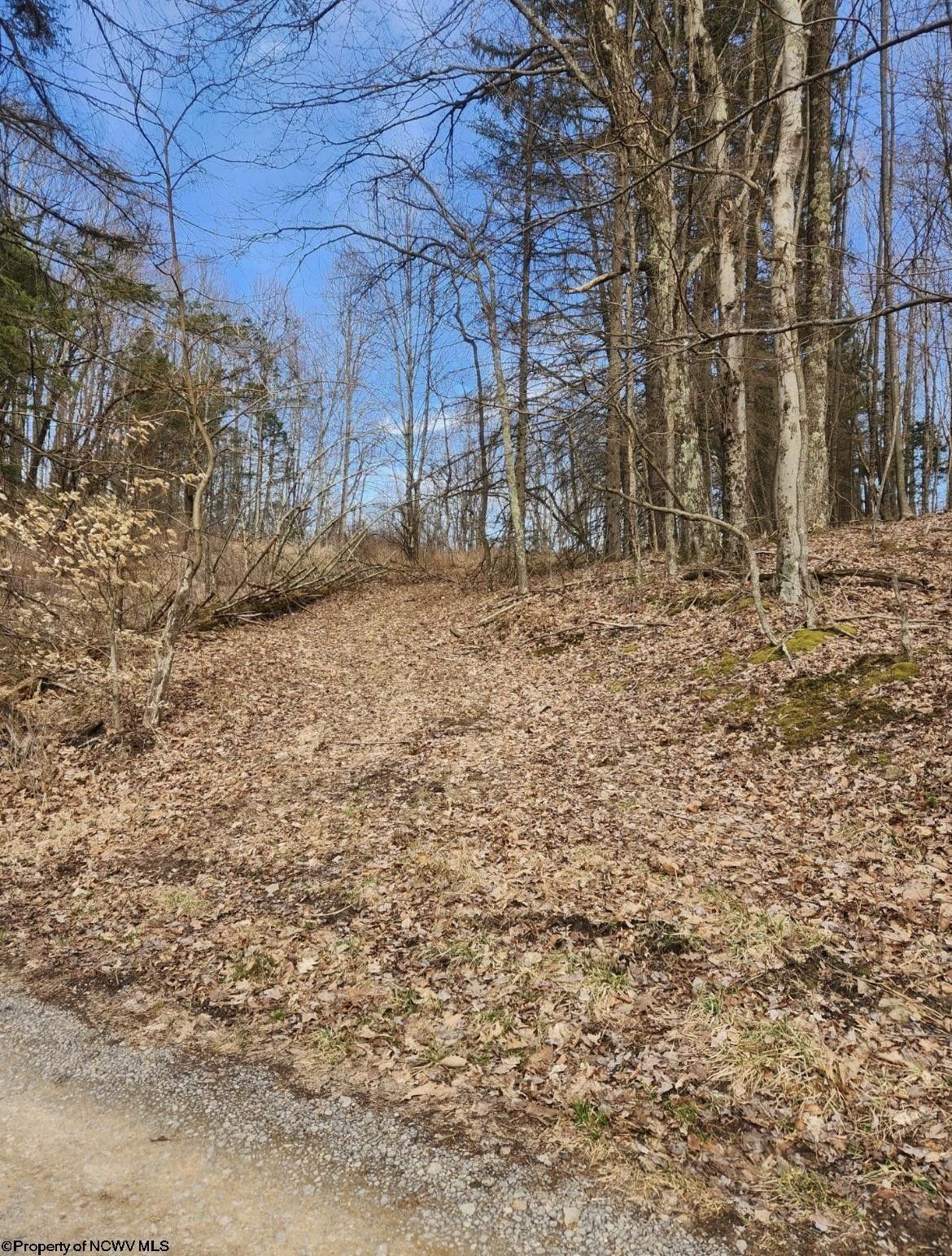 2 acres in Tucker County, West Virginia
