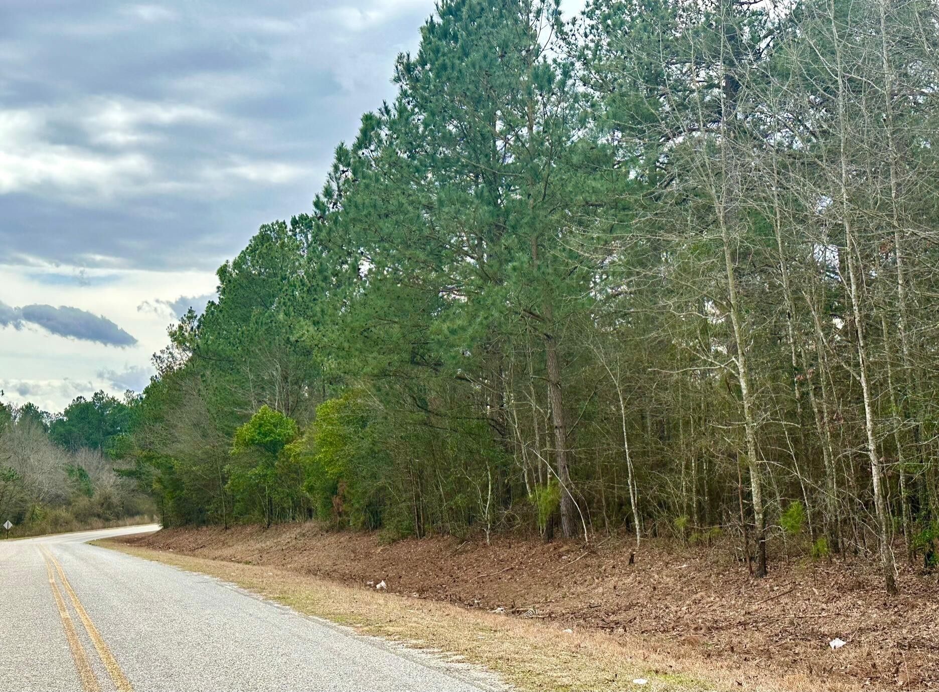 3 acres in Burke County,