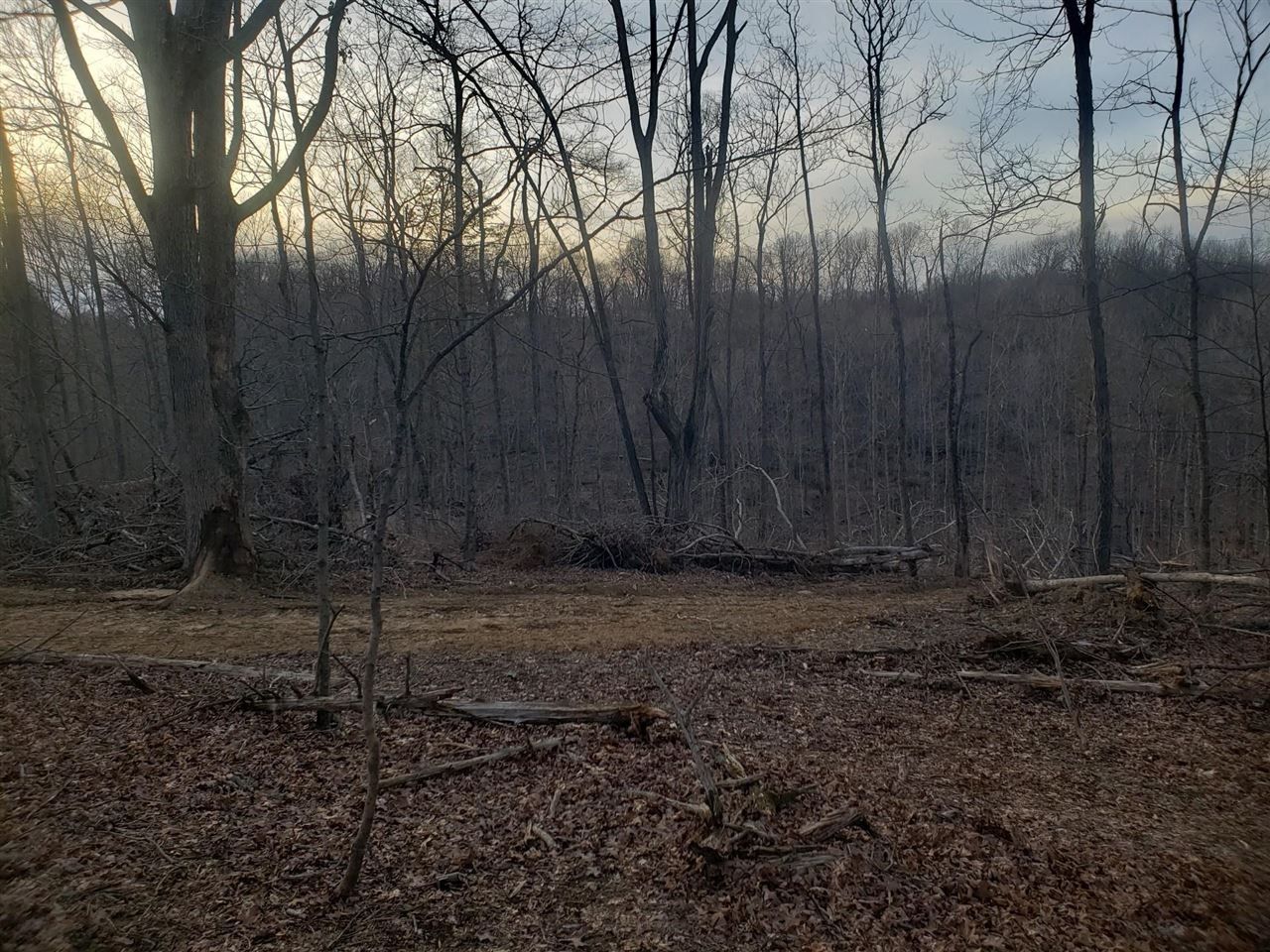 20.26 acres in Todd County, Kentucky