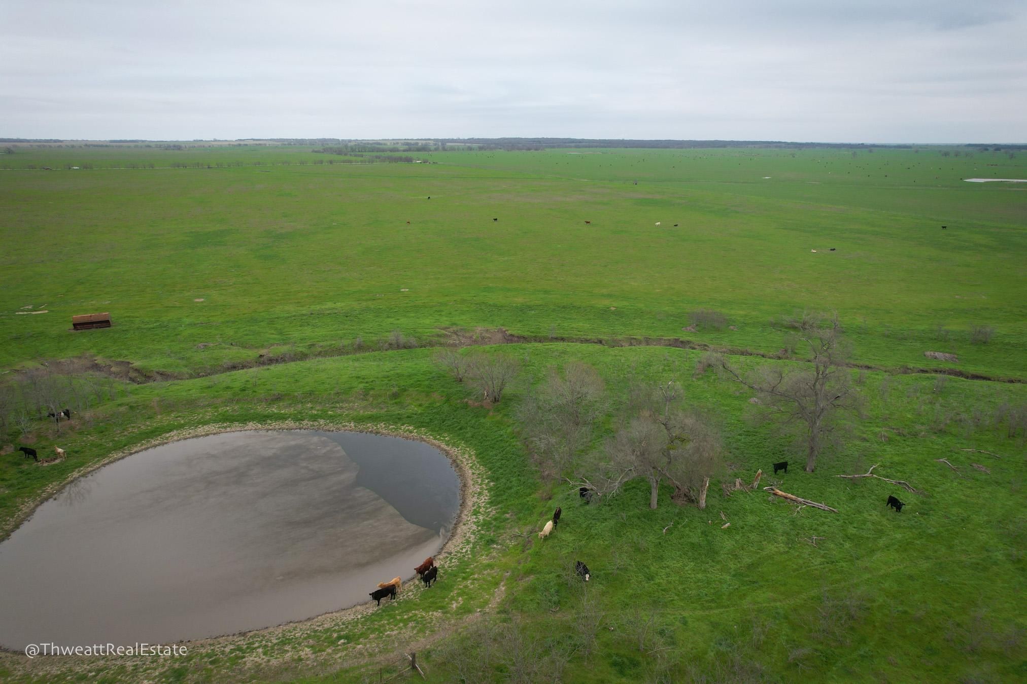 Rosendale Road, Reagan, TX 76680