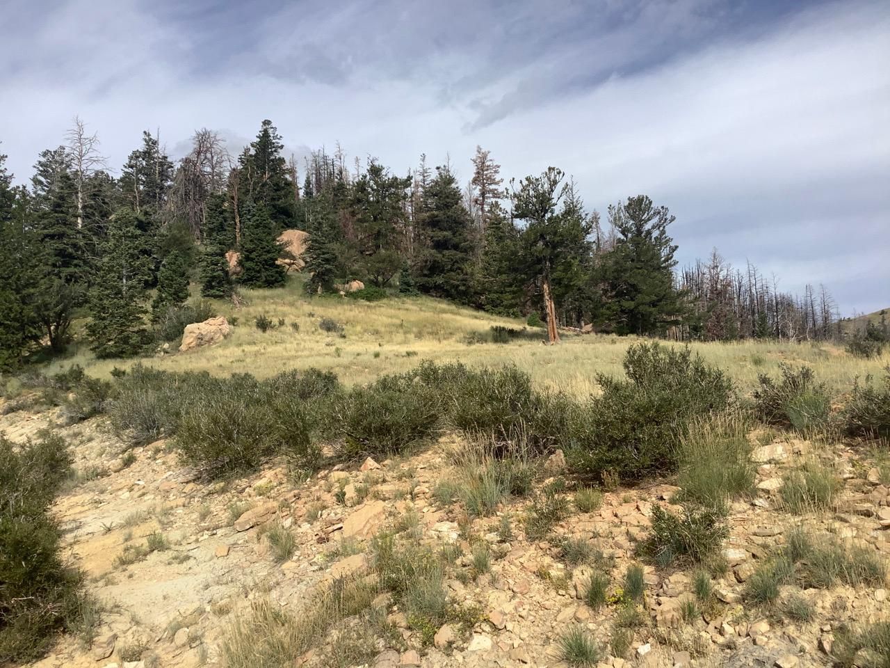 642.33 acres in Carbon County, Utah