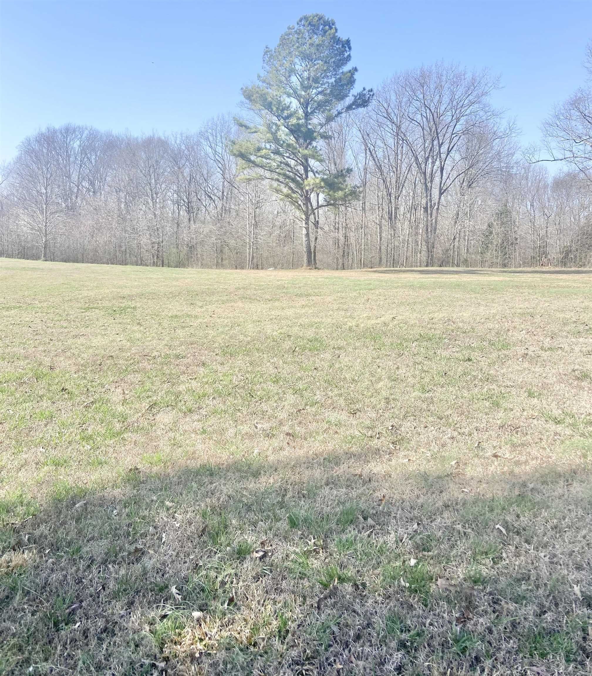 2 acres in Lauderdale County, Alabama