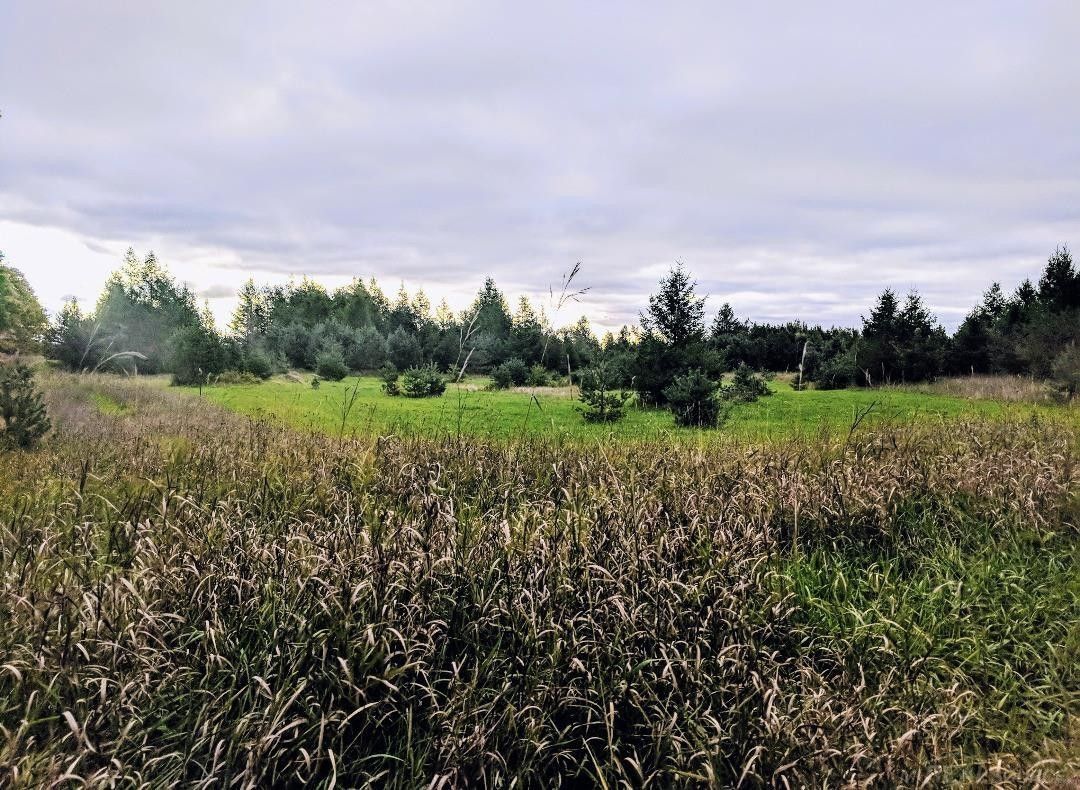 30.5 acres in Manistee County, Michigan