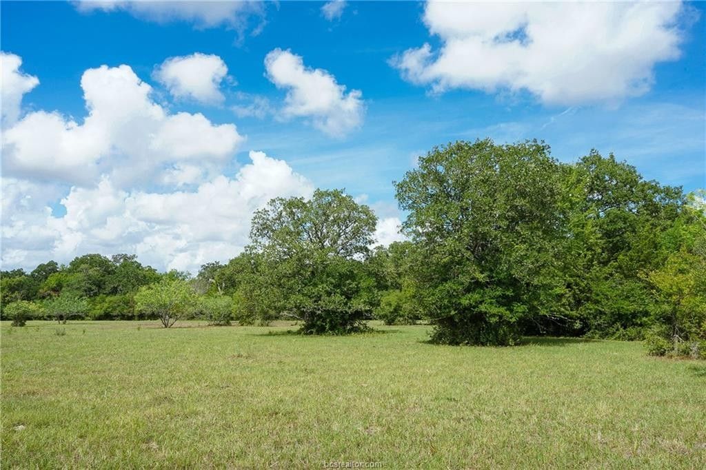 39 acres in Grimes County, Texas