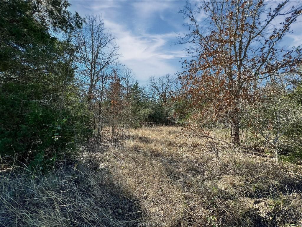 3.76 acres in Grimes County, Texas