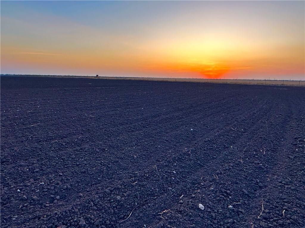 169 acres in Nueces County, Texas