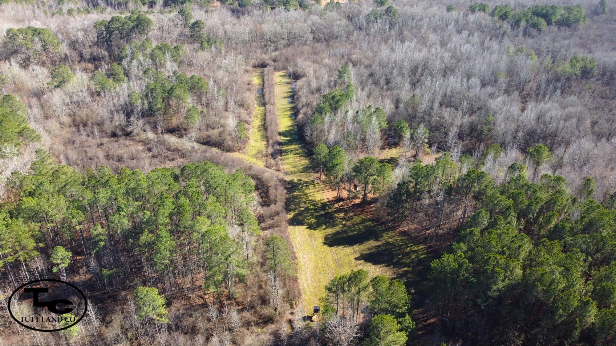 181 acres in Pickens County, Alabama