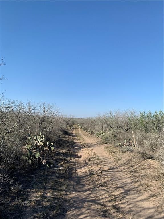 50 acres in Duval County, Texas