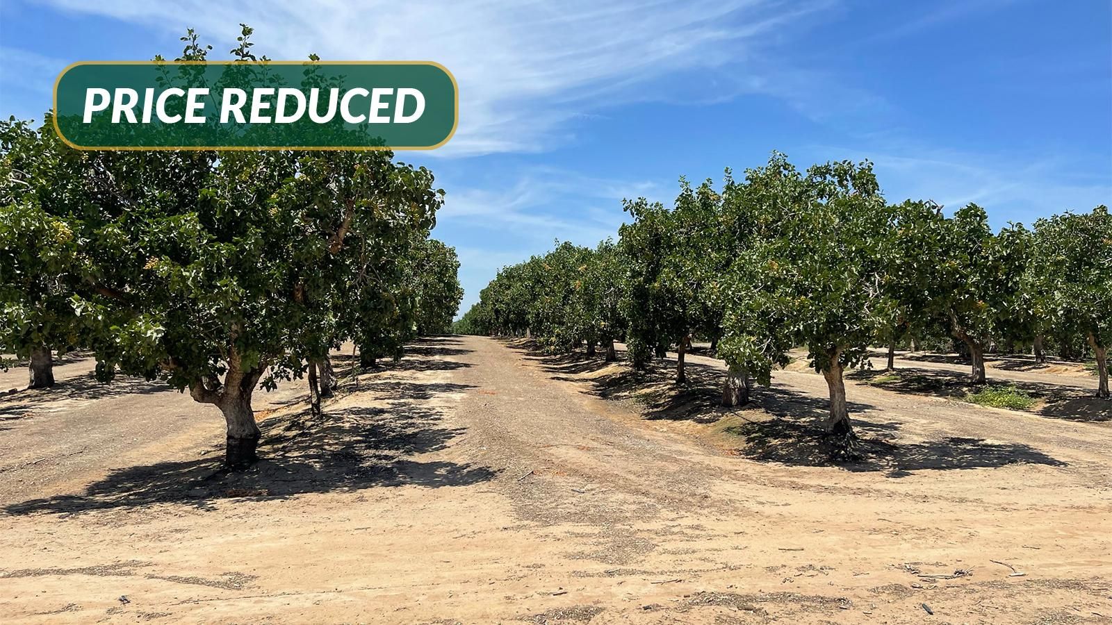 19.38 acres in Madera County, California