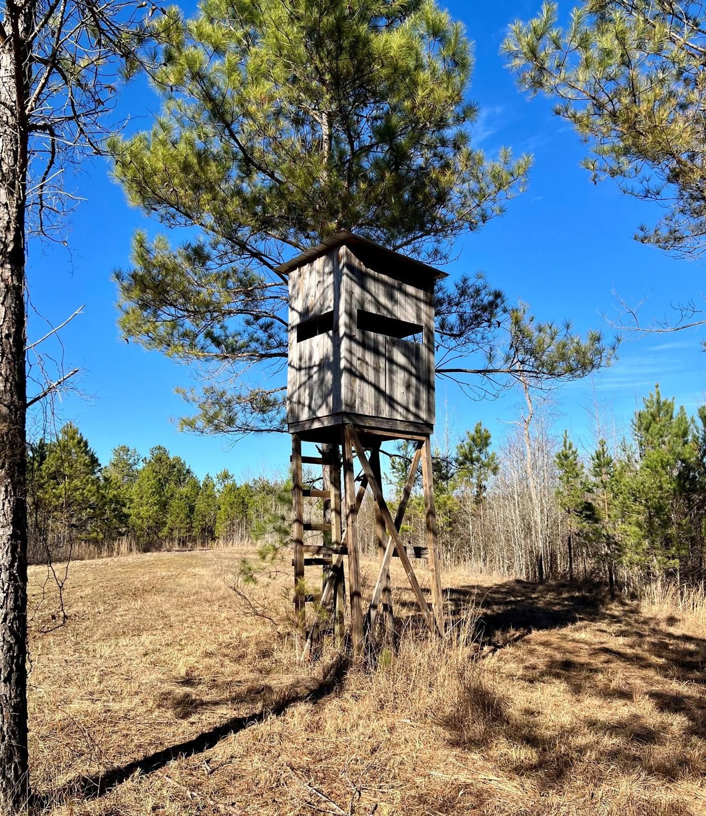 42 acres in Holmes County, Mississippi