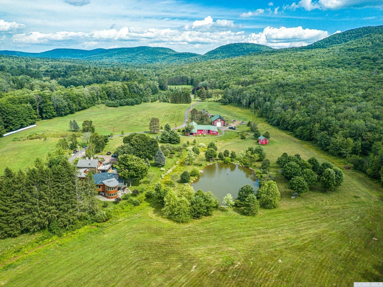 203 acres in Greene County, New York