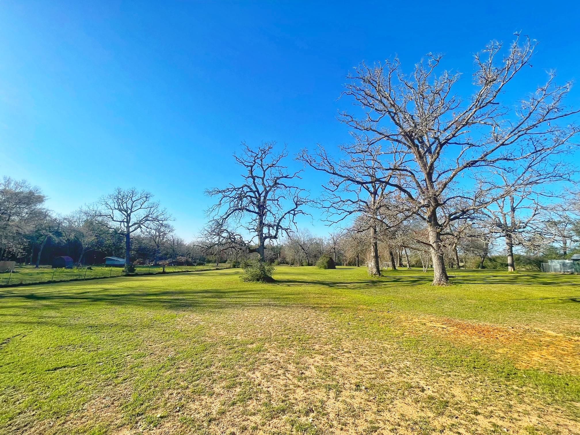 5 acres in Leon County, Texas