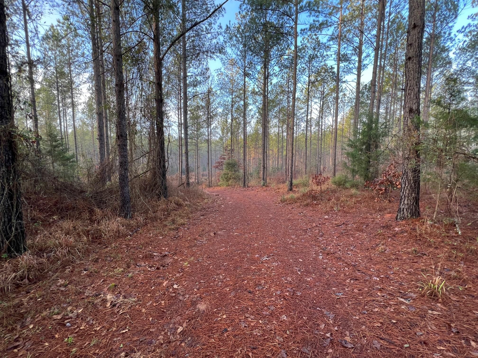 126 acres in Sumter County,