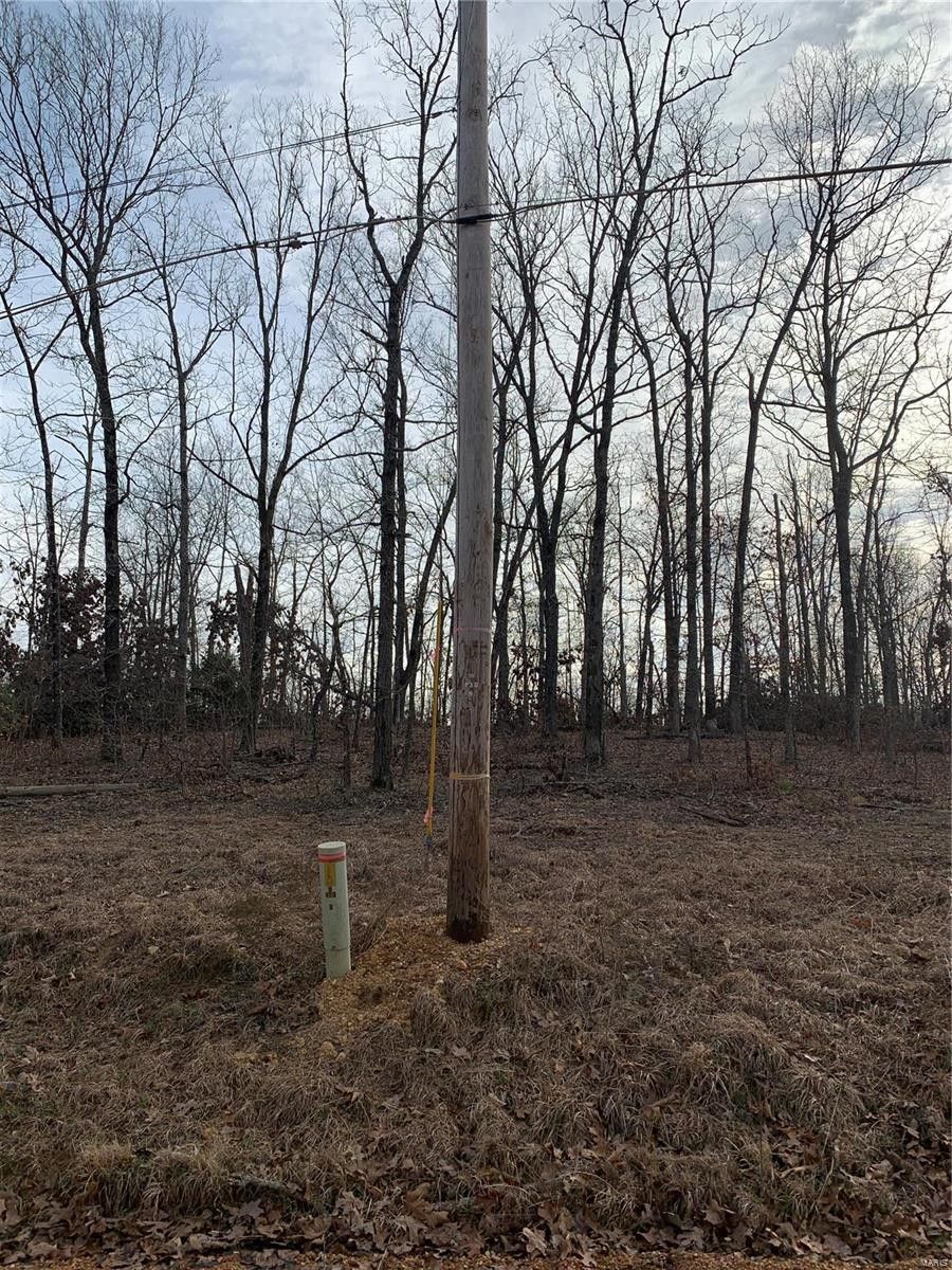 17.4 acres in Ripley County, Missouri