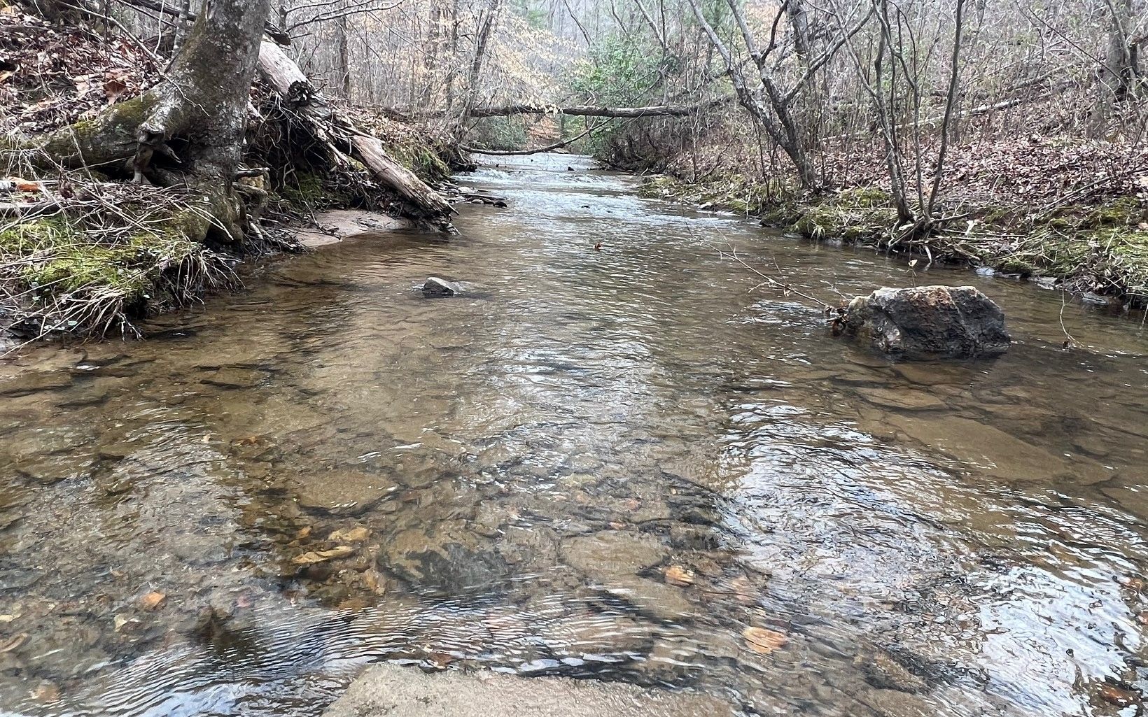 709 acres in Pickens County,