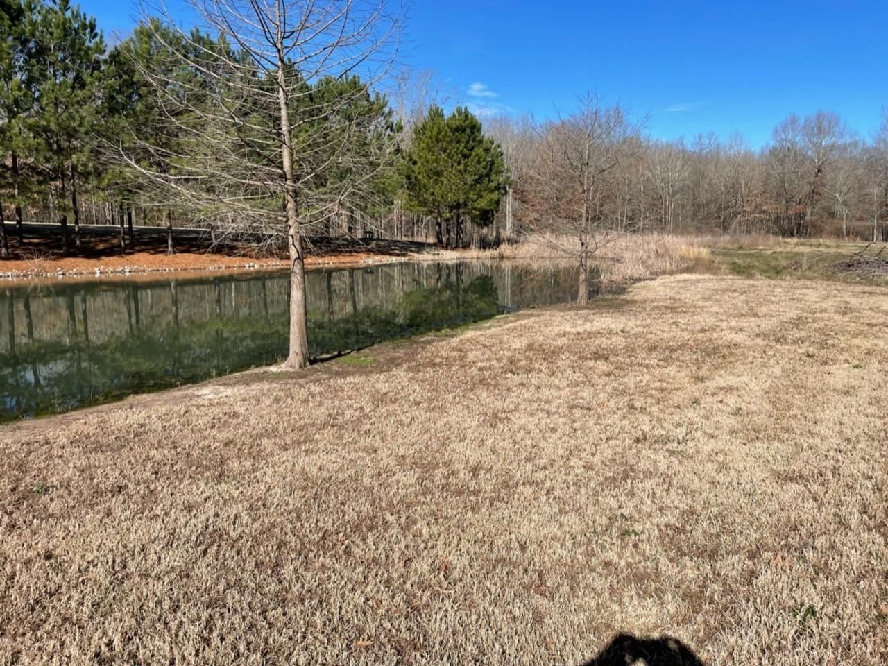 5.15 acres in Lydia, TX, 75554