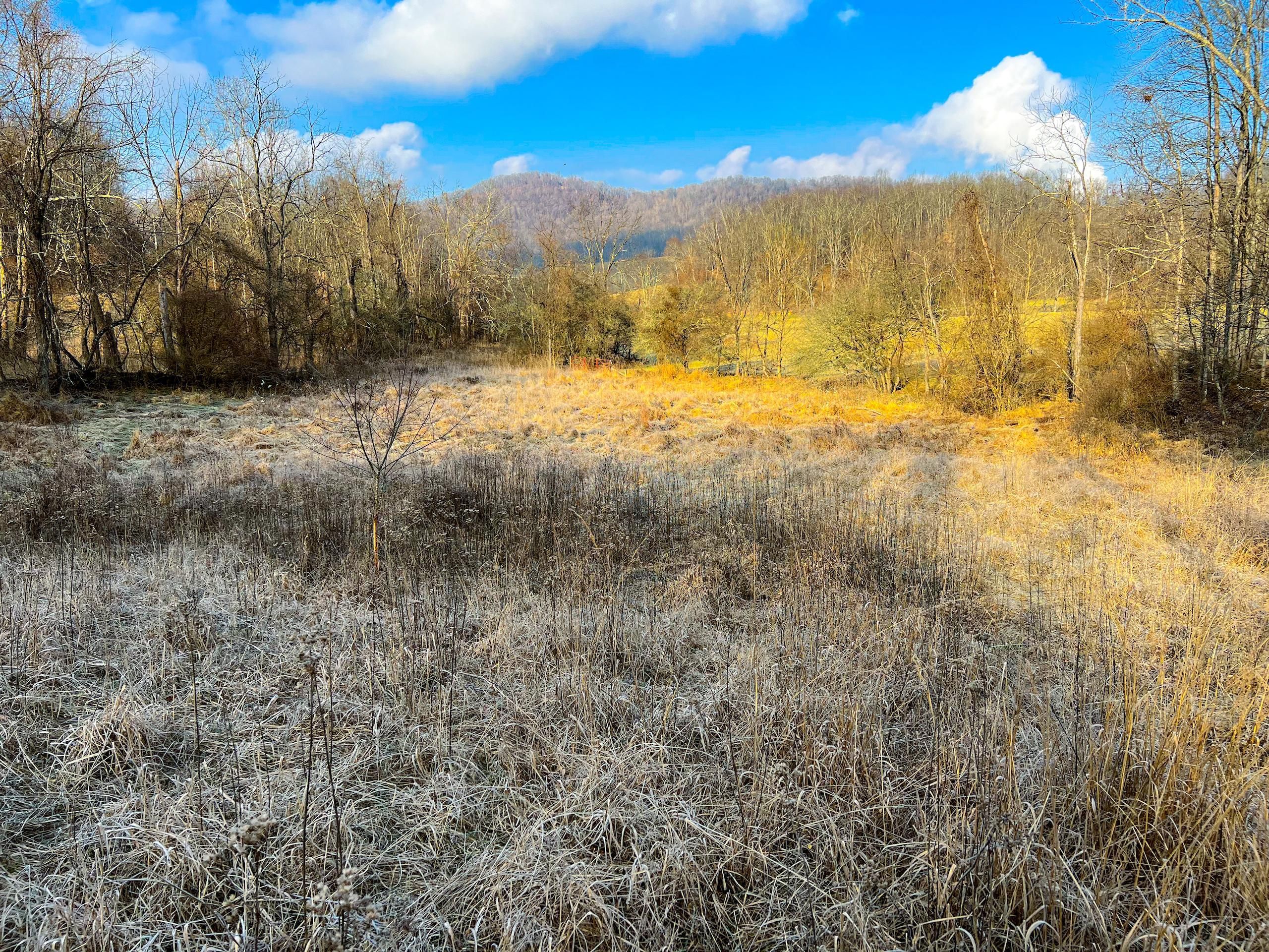 42 acres in Braxton County, West Virginia