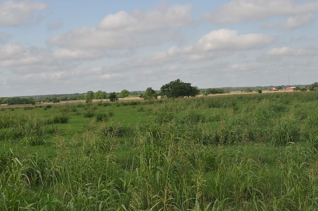 19 acres in Fayette County, Texas