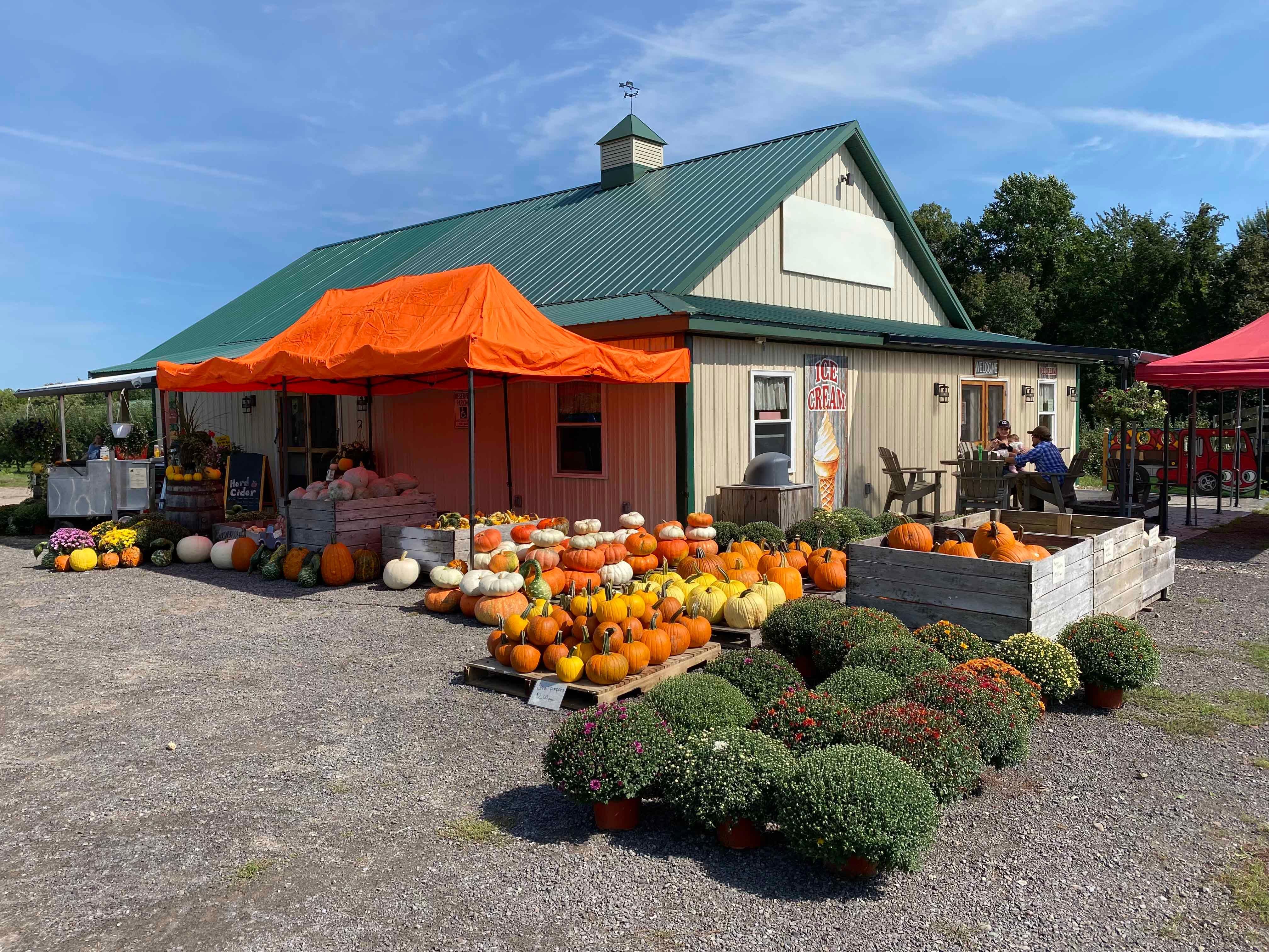 40 acres in Wayne County, New York