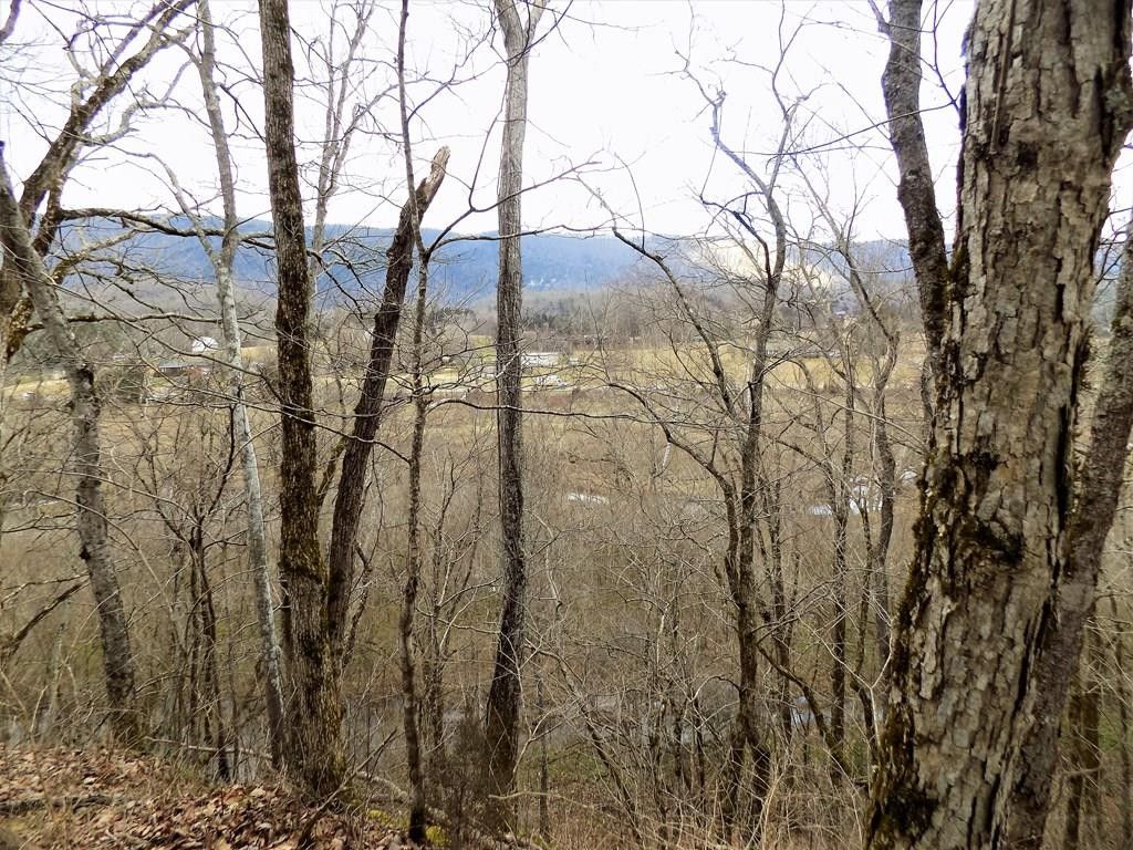 32 acres in Grainger County, Tennessee