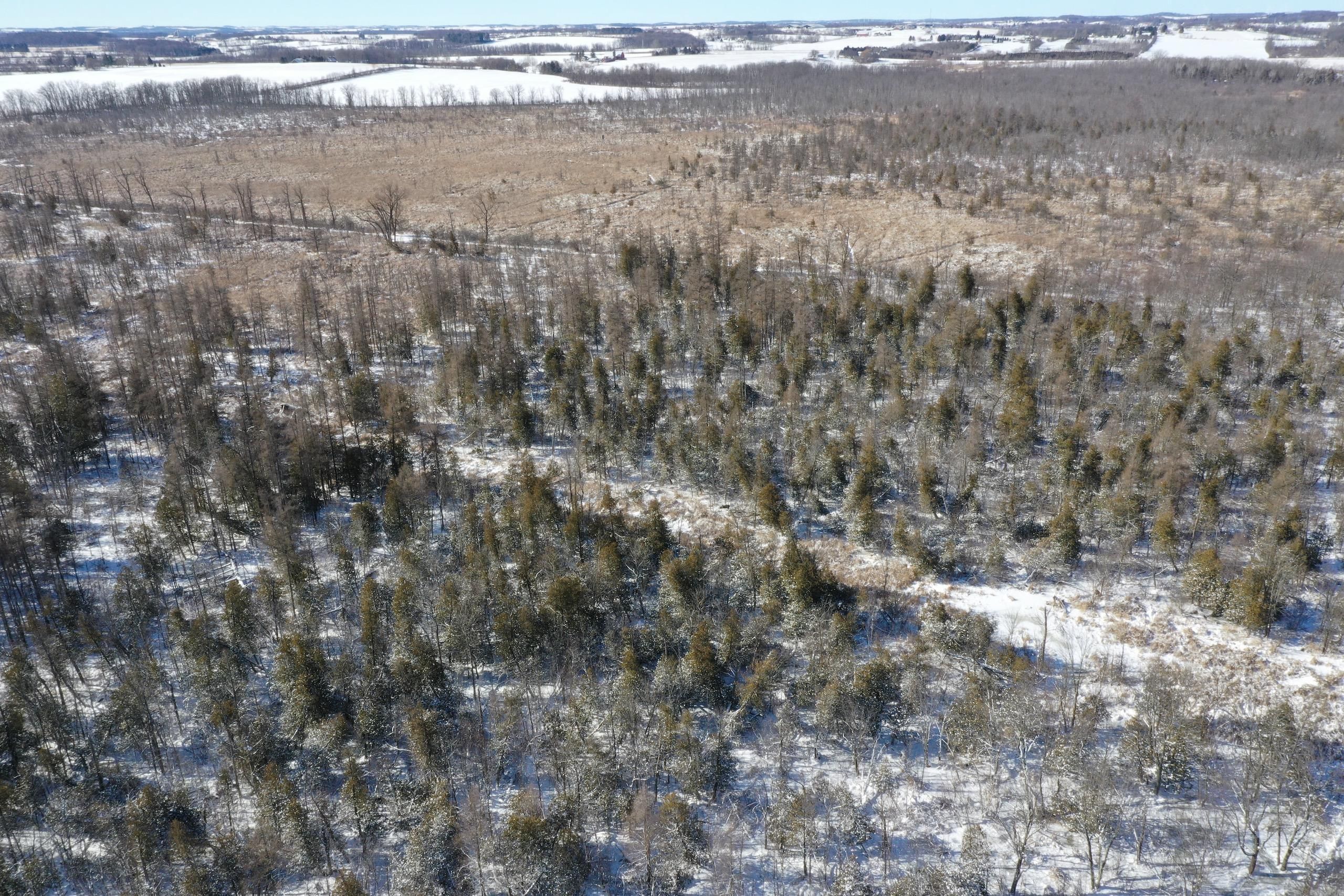 21 acres in Calumet County, Wisconsin