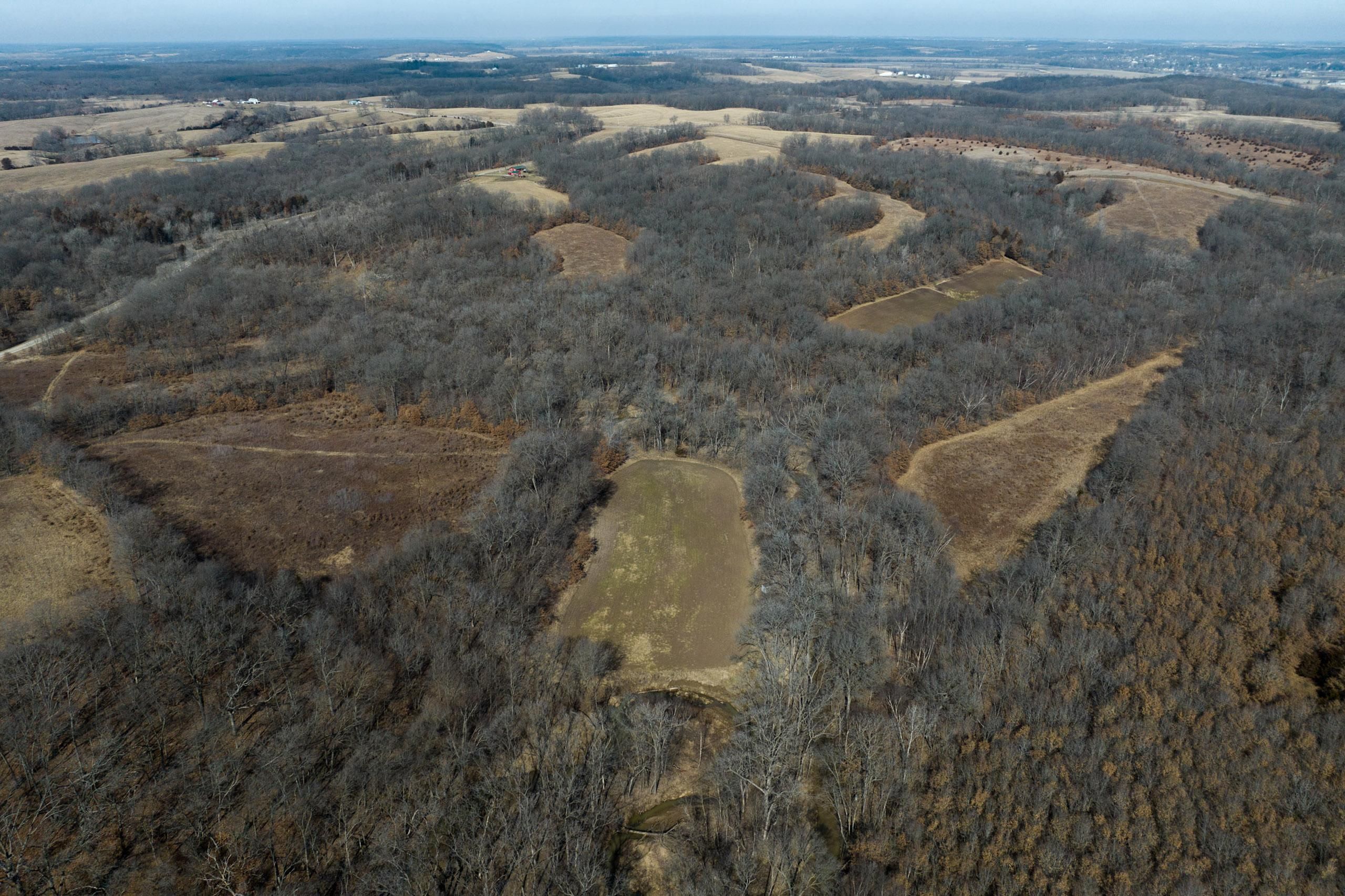 40 acres in Davis County, Iowa