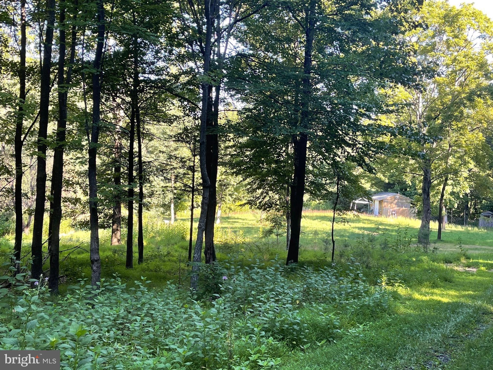 65.5 acres in Page County, Virginia