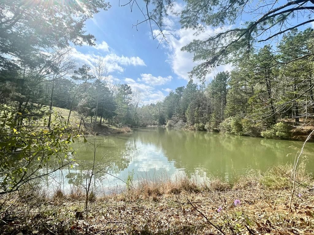 8 acres in Anderson County, Texas