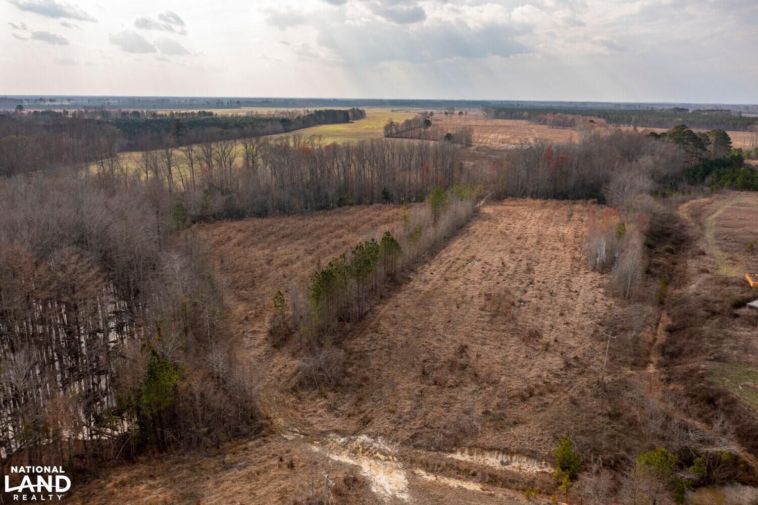 124 acres in Bertie County, North Carolina