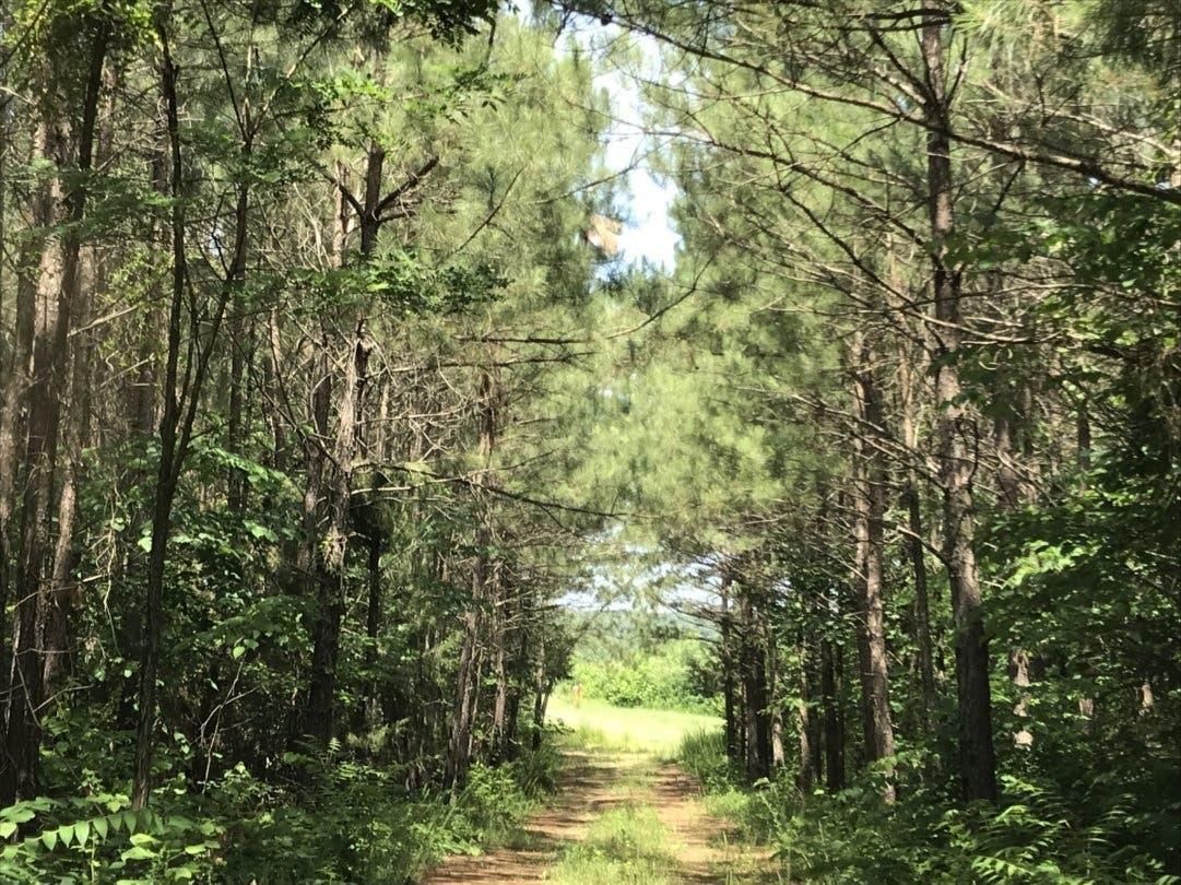 189 acres in Buckingham County, Virginia